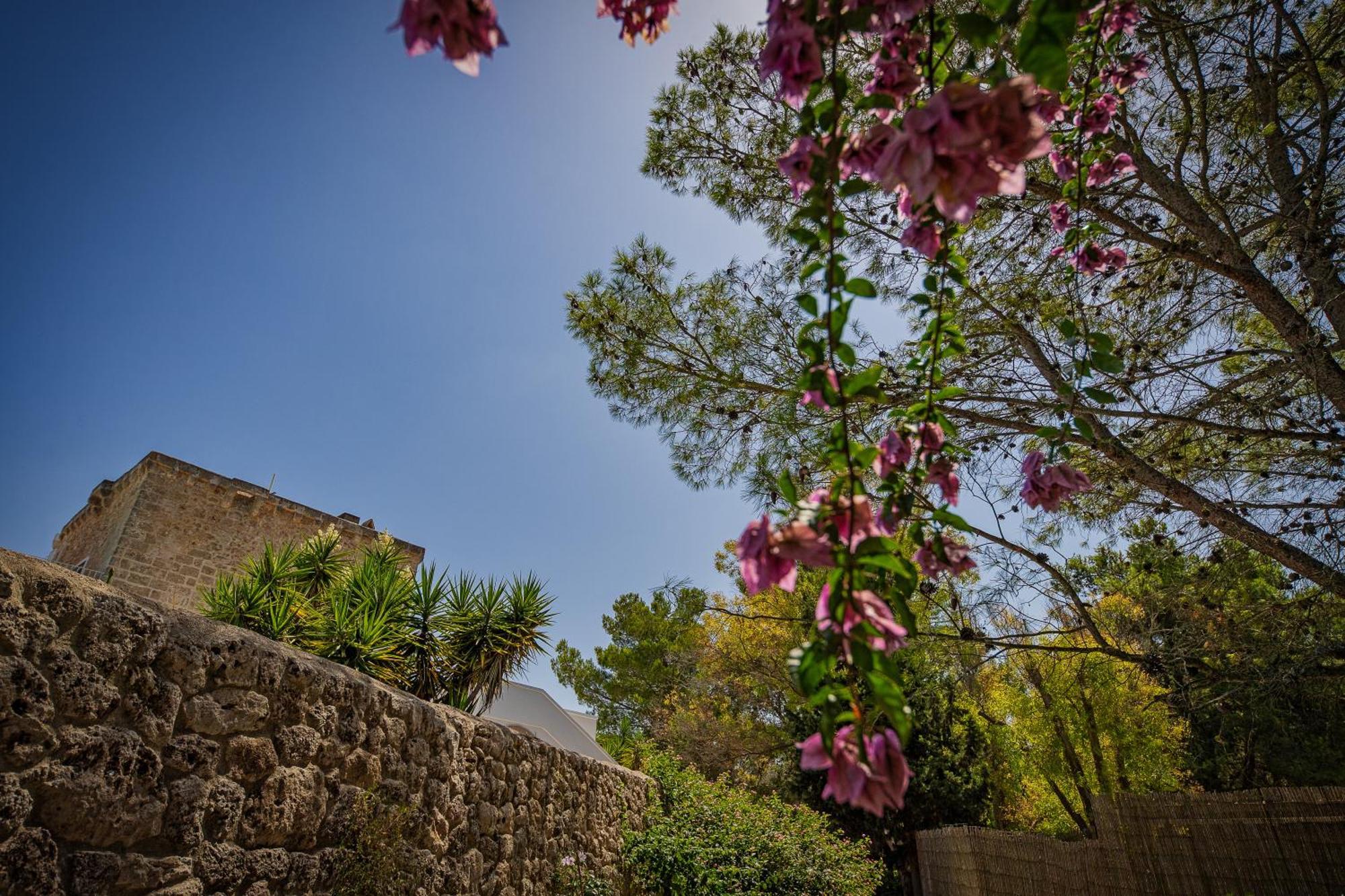 Torre Casciani Villa Удженто Екстериор снимка