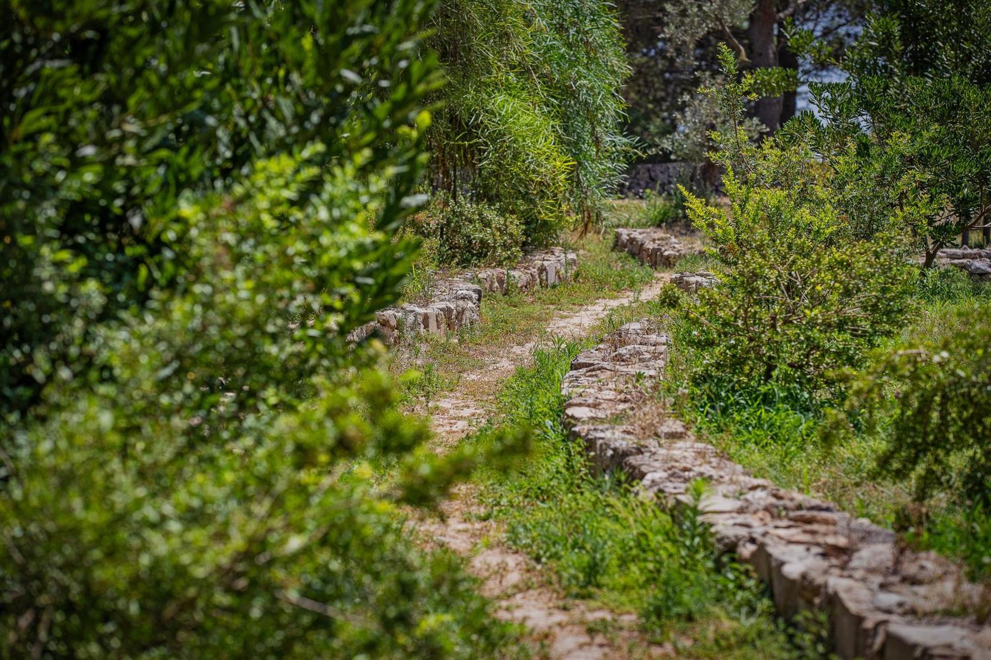 Torre Casciani Villa Удженто Екстериор снимка