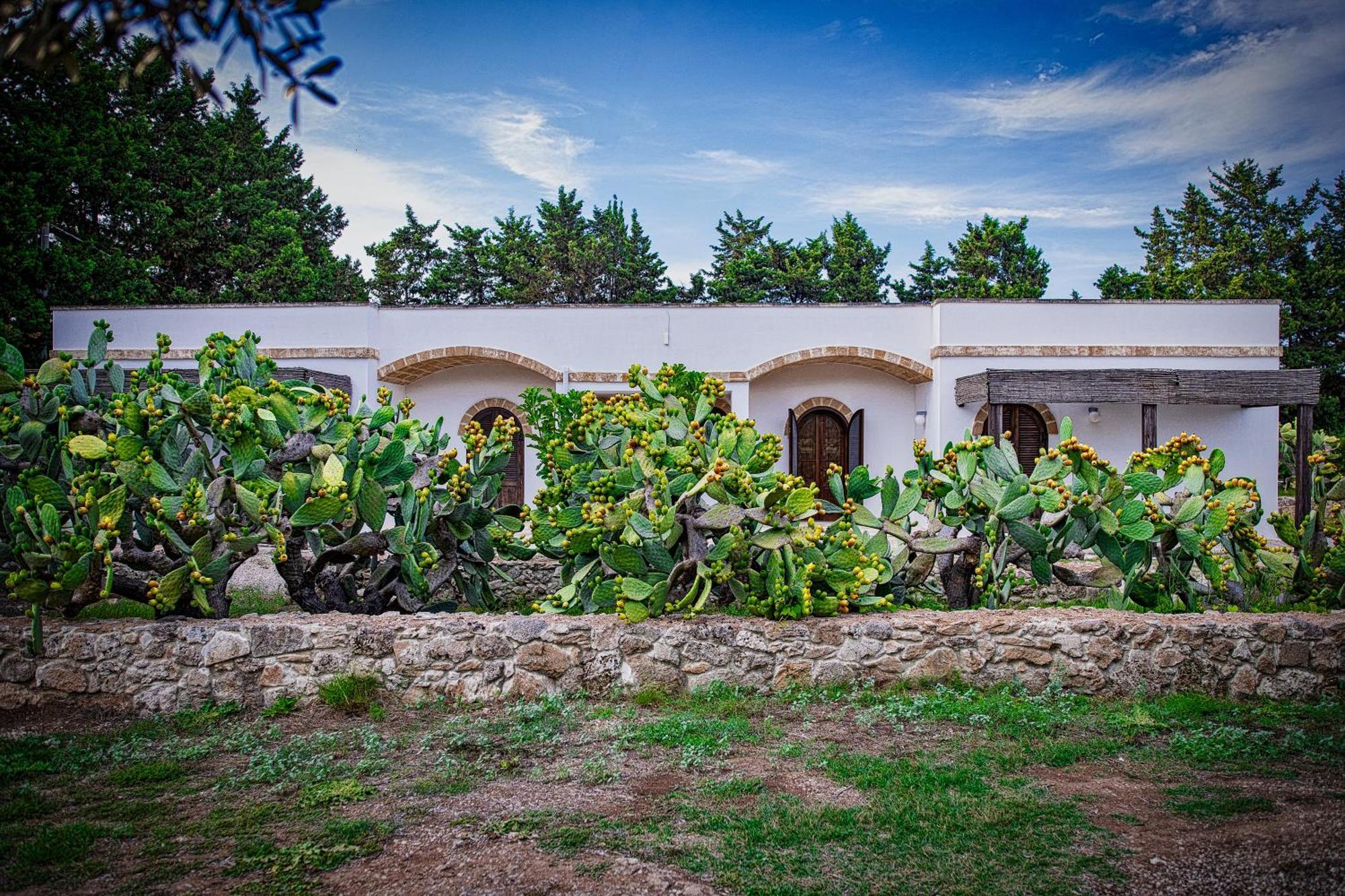 Torre Casciani Villa Удженто Екстериор снимка